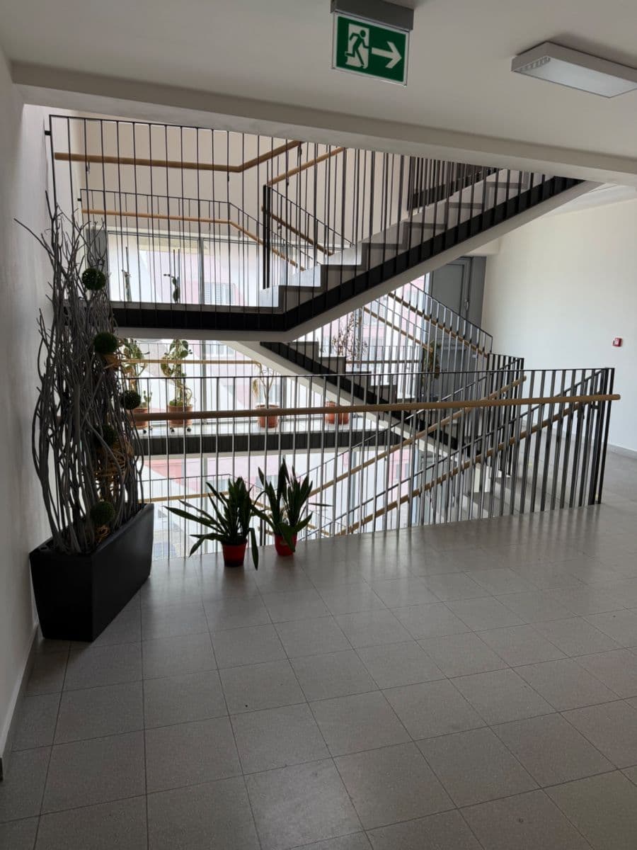 Pronájem bytu 1+kk 33 m², Palackého třída, Brno, Jihomoravský kraj Pronájem bytu 1+kk 33 m², Palackého třída, Brno, Jihomoravský kraj