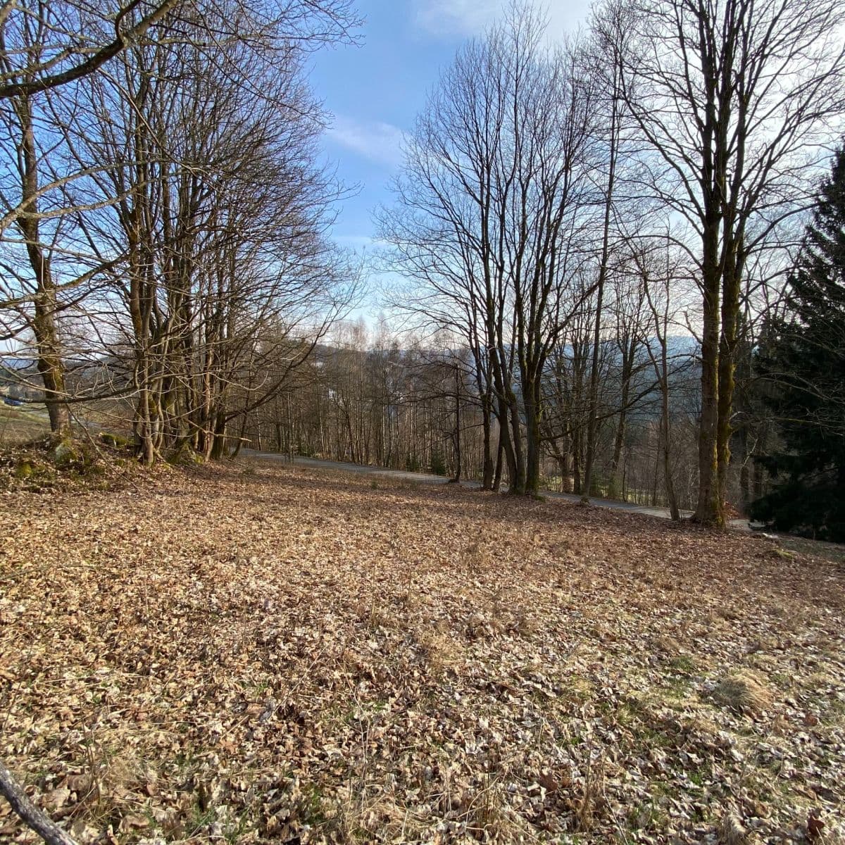 Prodej pozemku 1.024 m², Albrechtice v Jizerských horách, Liberecký kraj Prodej pozemku 1.024 m², Albrechtice v Jizerských horách, Liberecký kraj