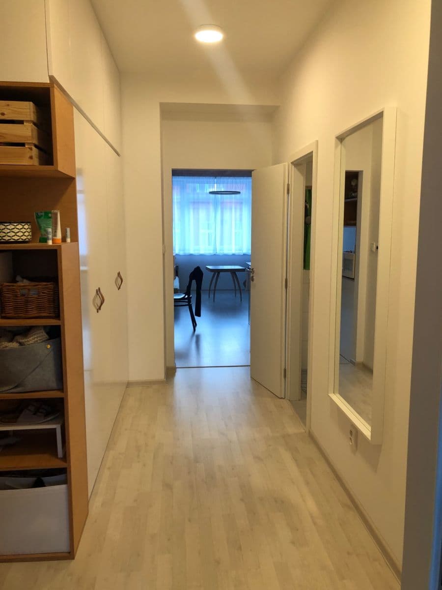 Pronájem bytu 2+kk 50 m², Přadlácká, Brno, Jihomoravský kraj Pronájem bytu 2+kk 50 m², Přadlácká, Brno, Jihomoravský kraj