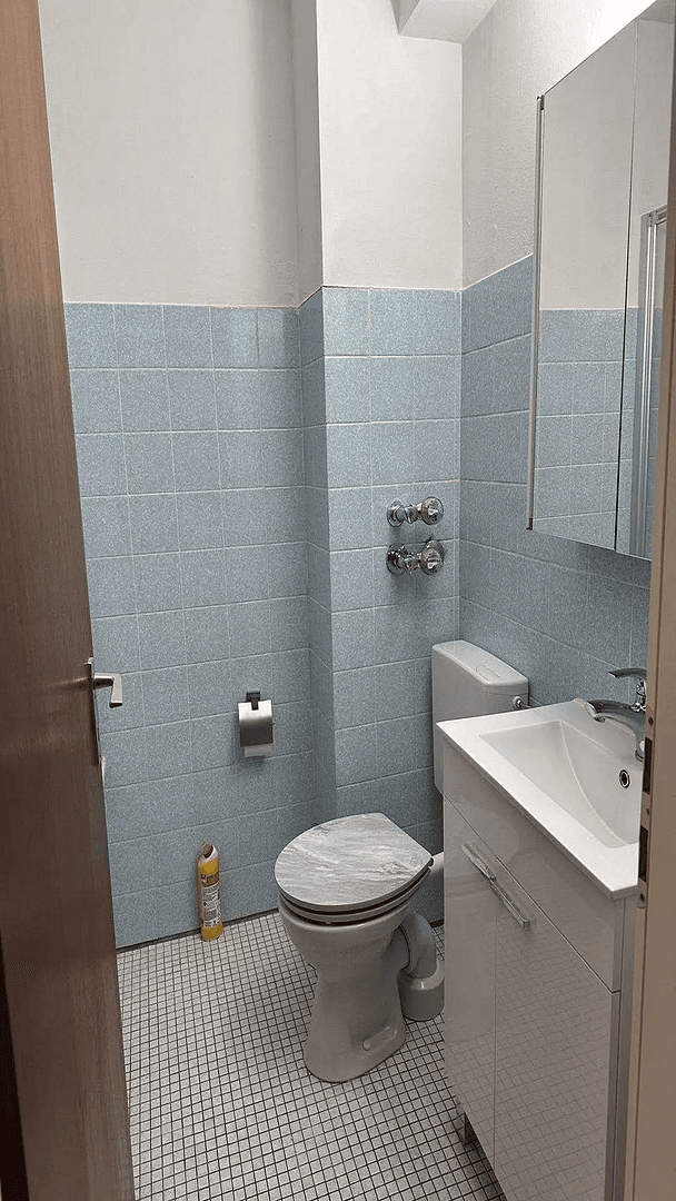 Pronájem bytu 1+1 34 m², Heidelberg, Bádensko-Württembersko Pronájem bytu 1+1 34 m², Heidelberg, Bádensko-Württembersko