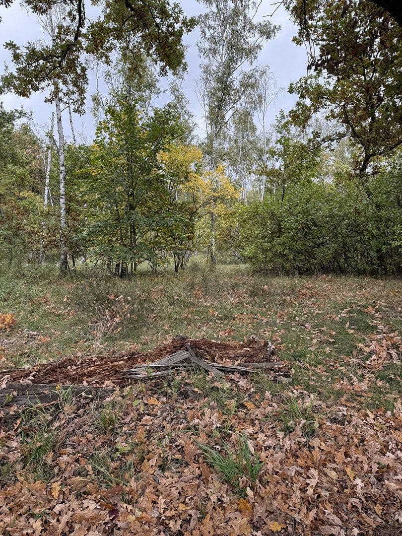 Pronájem bytu 2+1 55 m², Berlin, Berlín Pronájem bytu 2+1 55 m², Berlin, Berlín