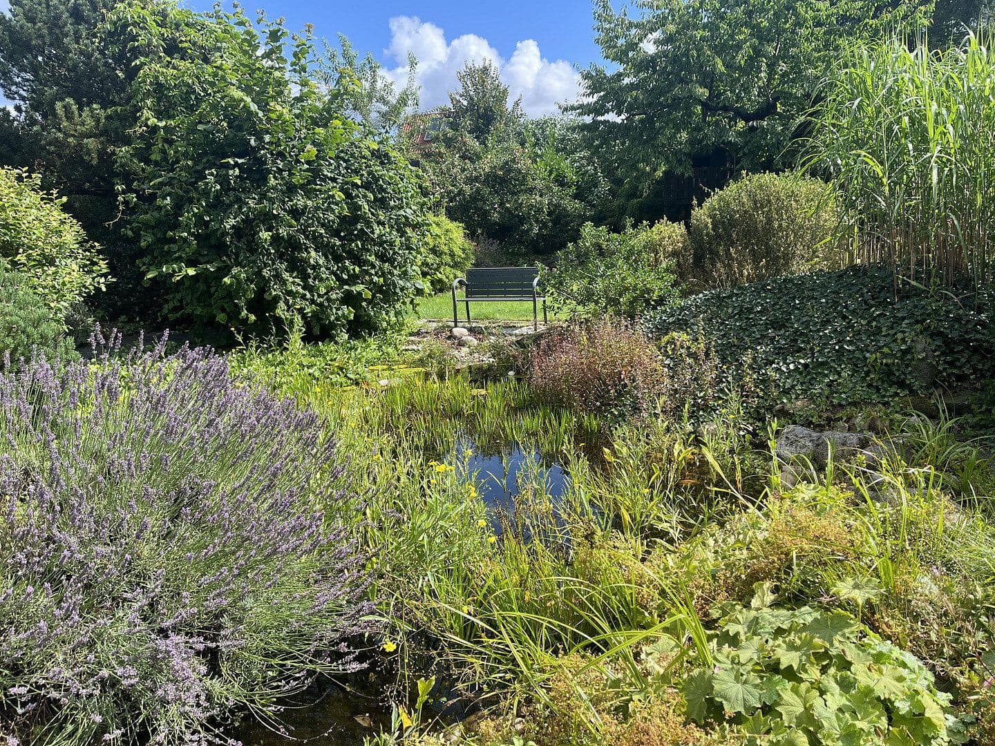 Prodej domu 173 m², pozemek 1.327 m², Deutsch Evern, Dolní Sasko Prodej domu 173 m², pozemek 1.327 m², Deutsch Evern, Dolní Sasko