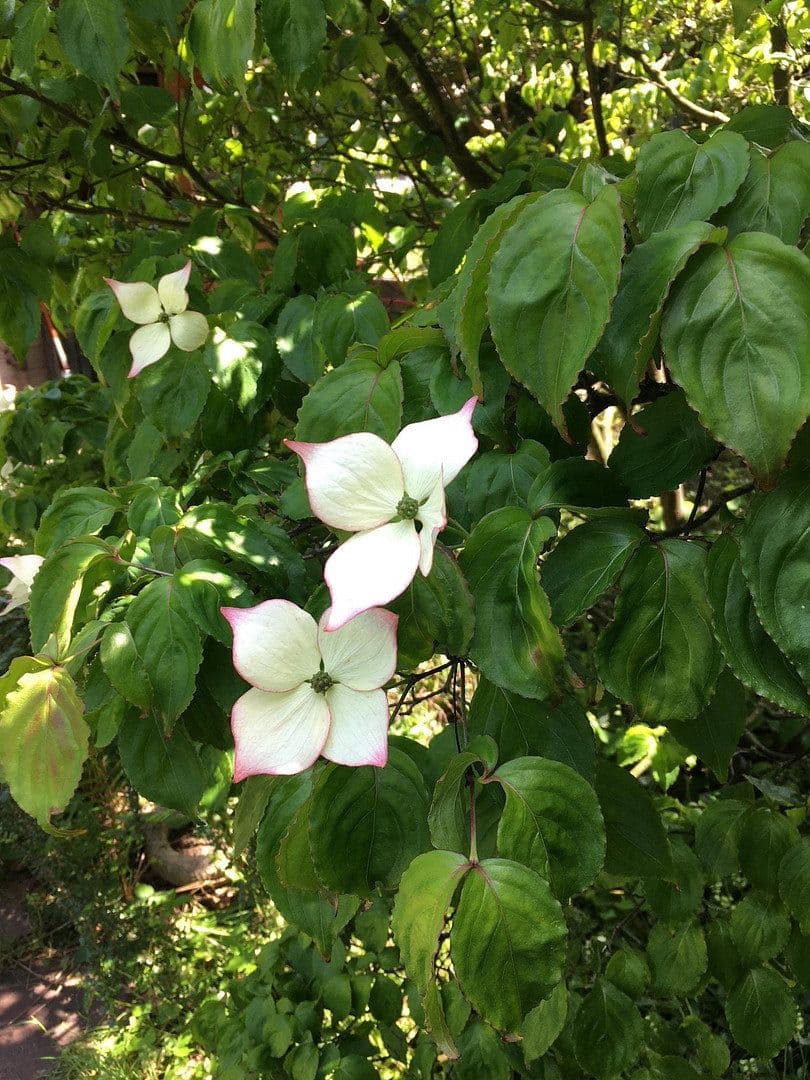 Prodej bytu 3+1 101 m², Im Erlenbruch, Essen, Severní Porýní-Vestfálsko Prodej bytu 3+1 101 m², Im Erlenbruch, Essen, Severní Porýní-Vestfálsko