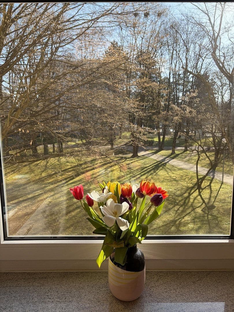 Prodej bytu 2+1 60 m², München, Bavorsko Prodej bytu 2+1 60 m², München, Bavorsko