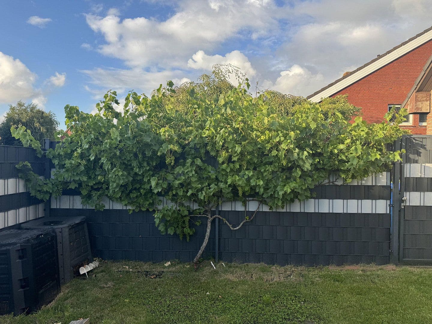 Prodej domu 250 m², pozemek 654 m², Norden, Dolní Sasko Prodej domu 250 m², pozemek 654 m², Norden, Dolní Sasko