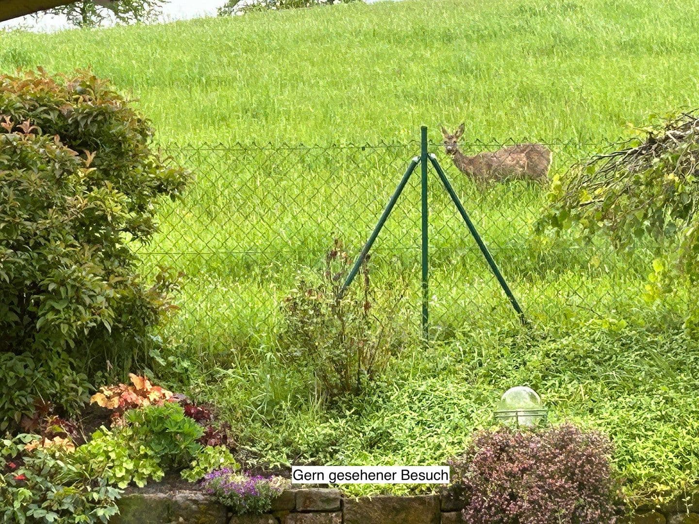 Prodej domu 181 m², pozemek 617 m², Hangstraße 18, Nünschweiler, Porýní-Falc Prodej domu 181 m², pozemek 617 m², Hangstraße 18, Nünschweiler, Porýní-Falc