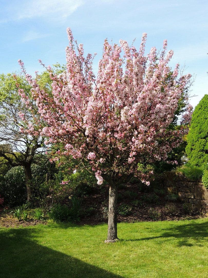 Prodej domu 181 m², pozemek 617 m², Hangstraße 18, Nünschweiler, Porýní-Falc Prodej domu 181 m², pozemek 617 m², Hangstraße 18, Nünschweiler, Porýní-Falc