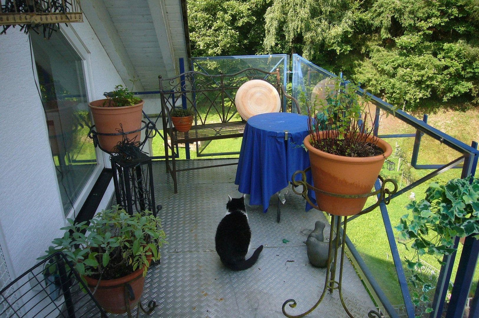 Prodej domu 580 m², pozemek 6.808 m², Oberzent, Hessen Prodej domu 580 m², pozemek 6.808 m², Oberzent, Hessen