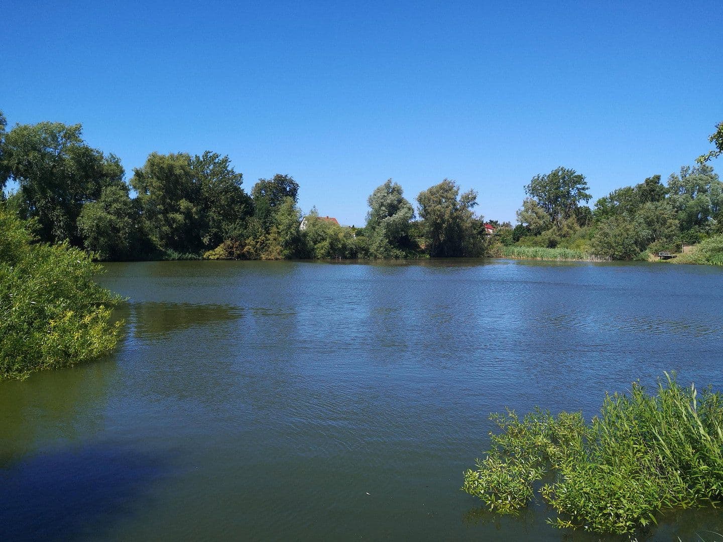 Prodej domu 200 m², pozemek 753 m², Saal, Mecklenburg-Vorpommern Prodej domu 200 m², pozemek 753 m², Saal, Mecklenburg-Vorpommern