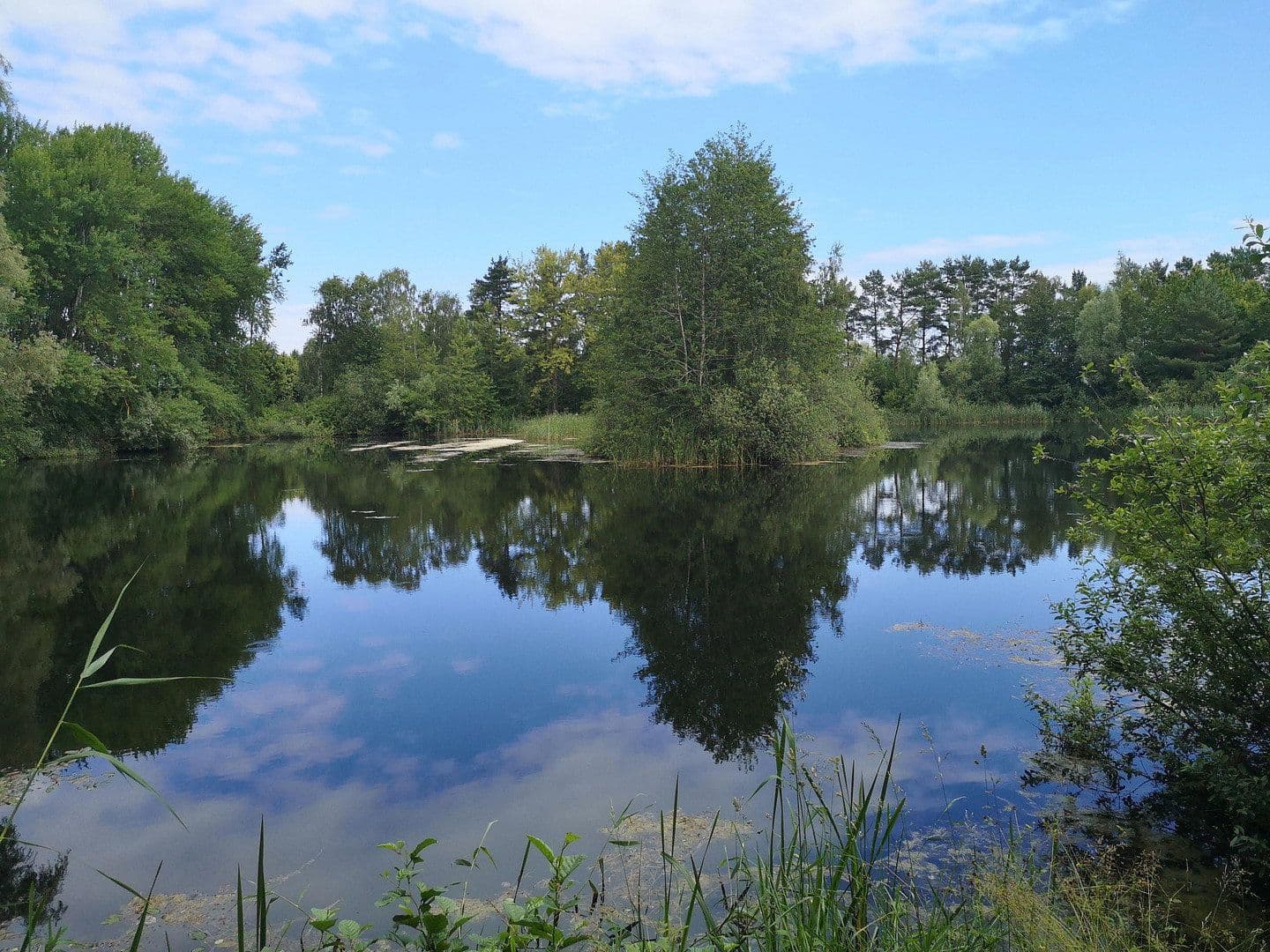 Prodej domu 200 m², pozemek 753 m², Saal, Mecklenburg-Vorpommern Prodej domu 200 m², pozemek 753 m², Saal, Mecklenburg-Vorpommern