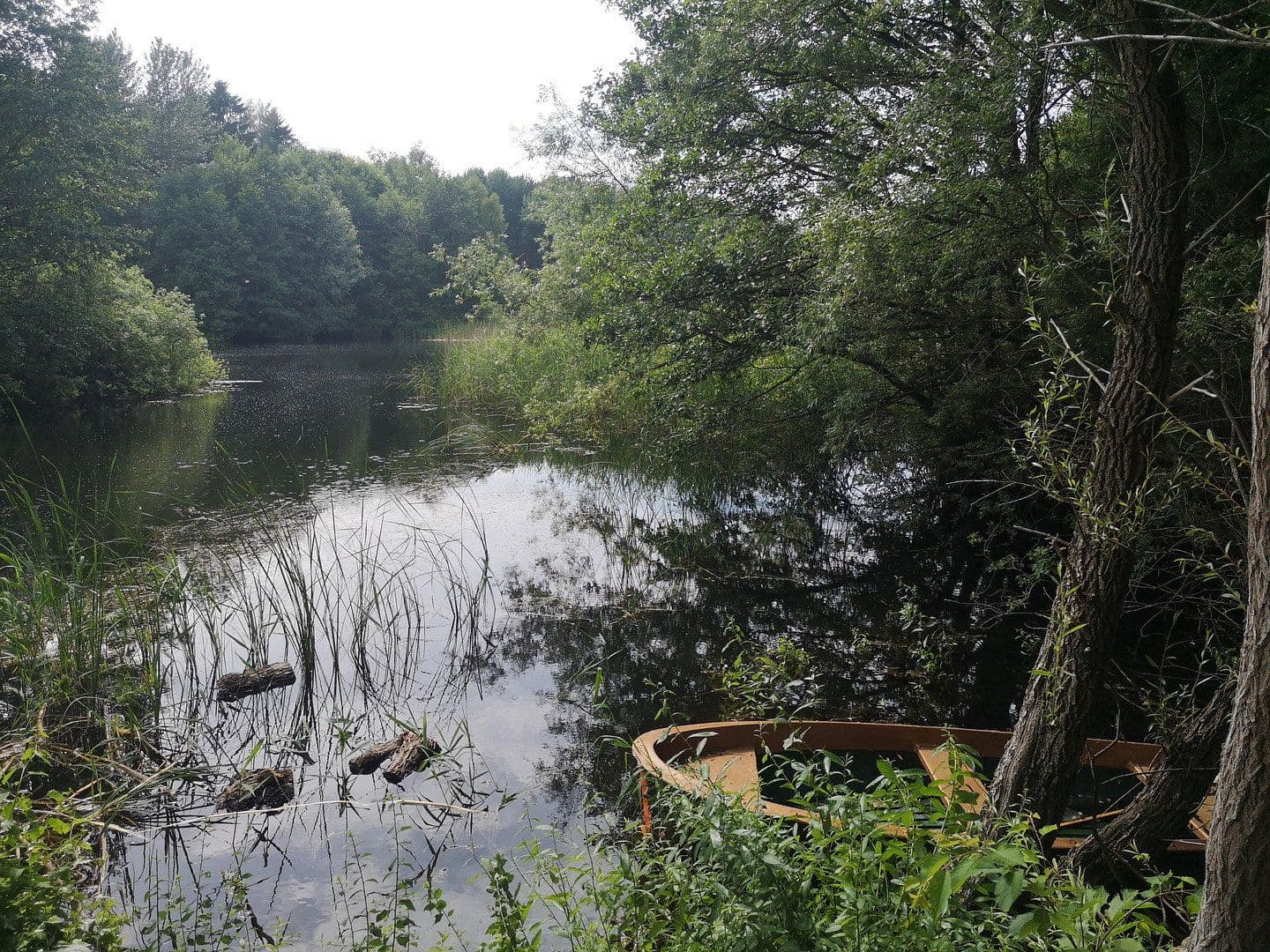 Prodej domu 201 m², pozemek 753 m², Saal, Mecklenburg-Vorpommern Prodej domu 201 m², pozemek 753 m², Saal, Mecklenburg-Vorpommern
