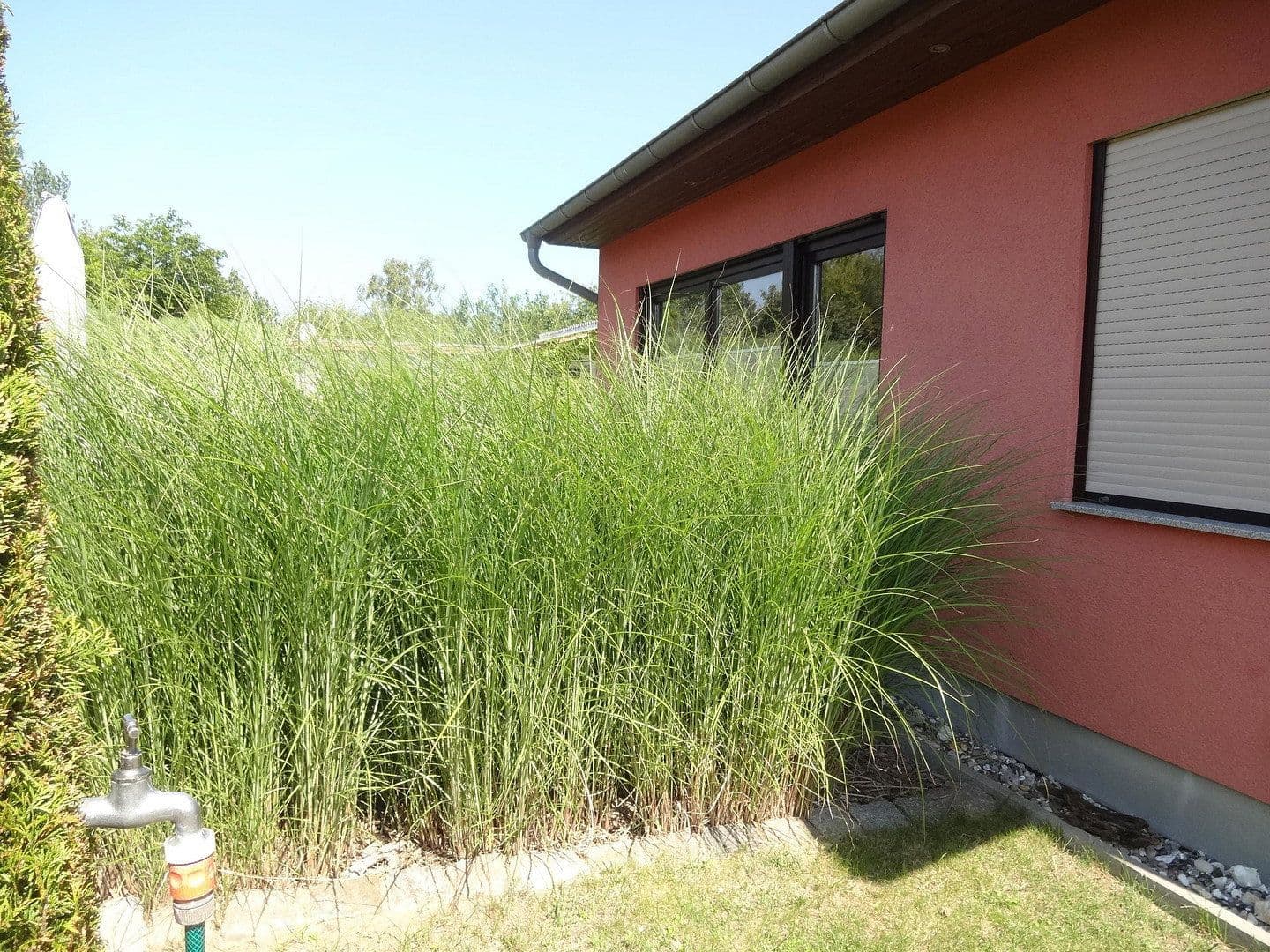 Prodej domu 53 m², pozemek 300 m², Seepferdchenweg 21, Loissin, Mecklenburg-Vorpommern Prodej domu 53 m², pozemek 300 m², Seepferdchenweg 21, Loissin, Mecklenburg-Vorpommern