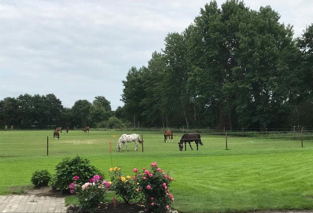 Pronájem bytu 1+1 37 m², Neulehe, Dolní Sasko Pronájem bytu 1+1 37 m², Neulehe, Dolní Sasko