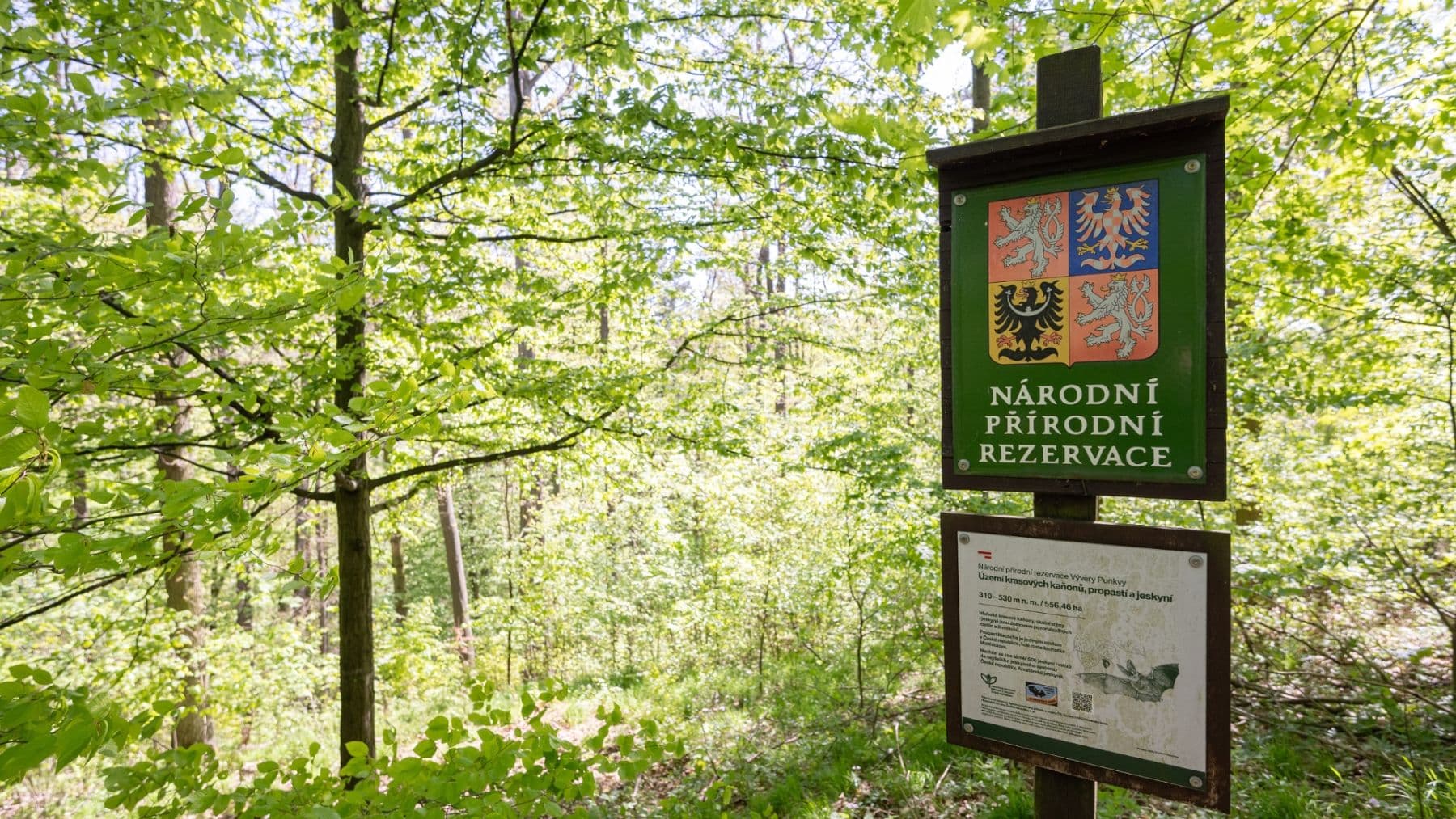 Prodej pozemku 3.101 m², Hostěnice, Jihomoravský kraj Prodej pozemku 3.101 m², Hostěnice, Jihomoravský kraj