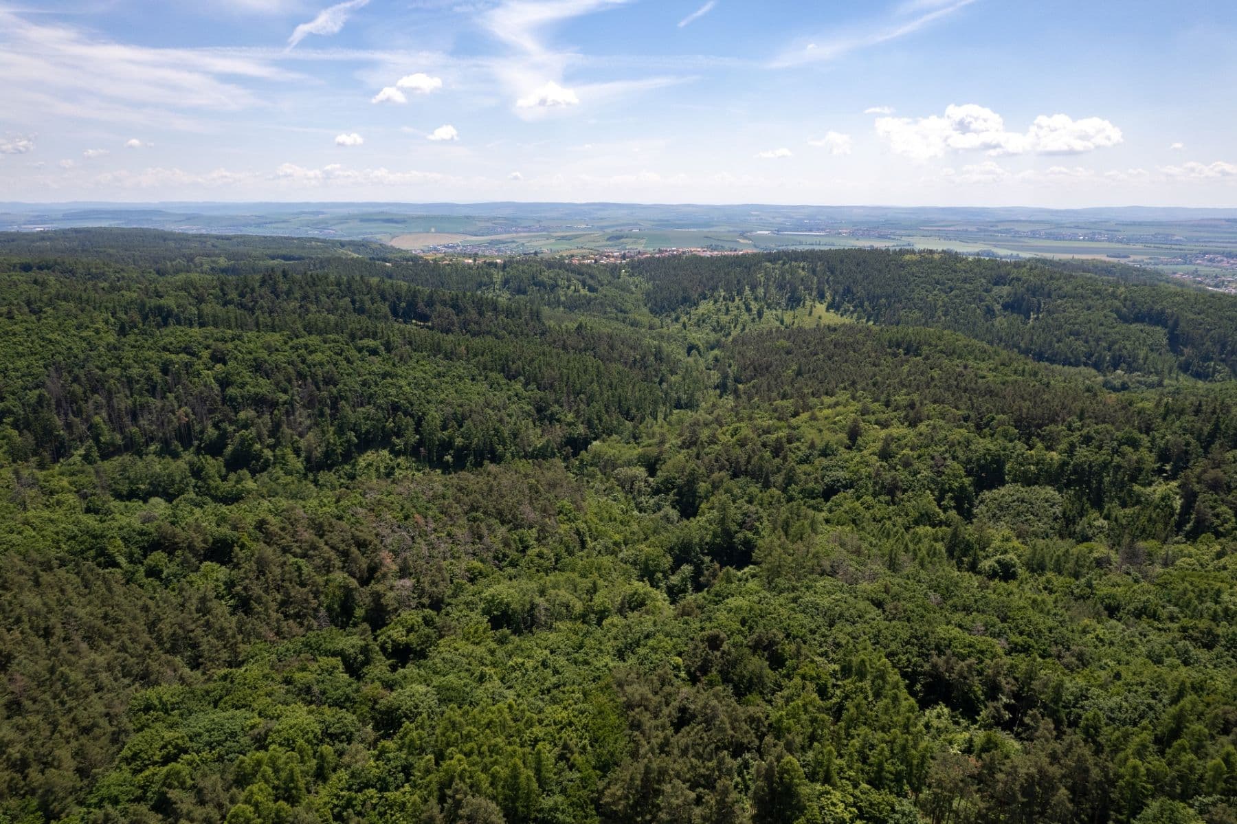 Prodej pozemku 3.101 m², Hostěnice, Jihomoravský kraj Prodej pozemku 3.101 m², Hostěnice, Jihomoravský kraj