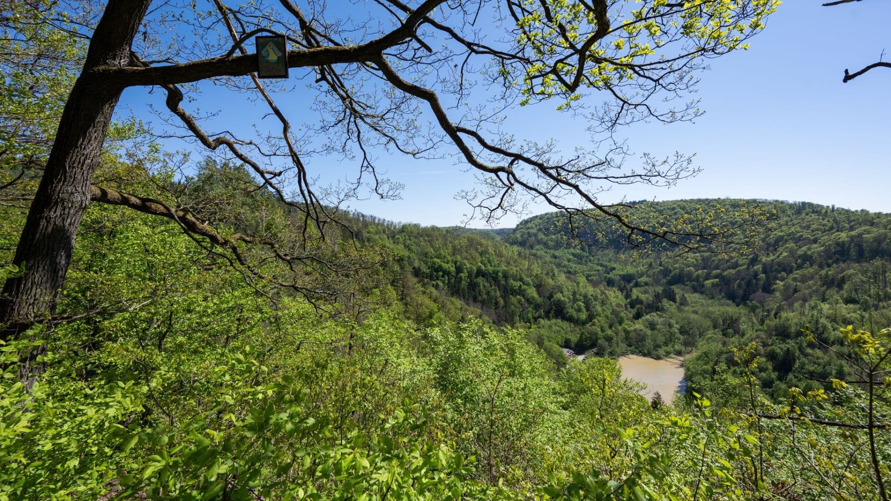 Prodej pozemku 3.101 m², Hostěnice, Jihomoravský kraj Prodej pozemku 3.101 m², Hostěnice, Jihomoravský kraj