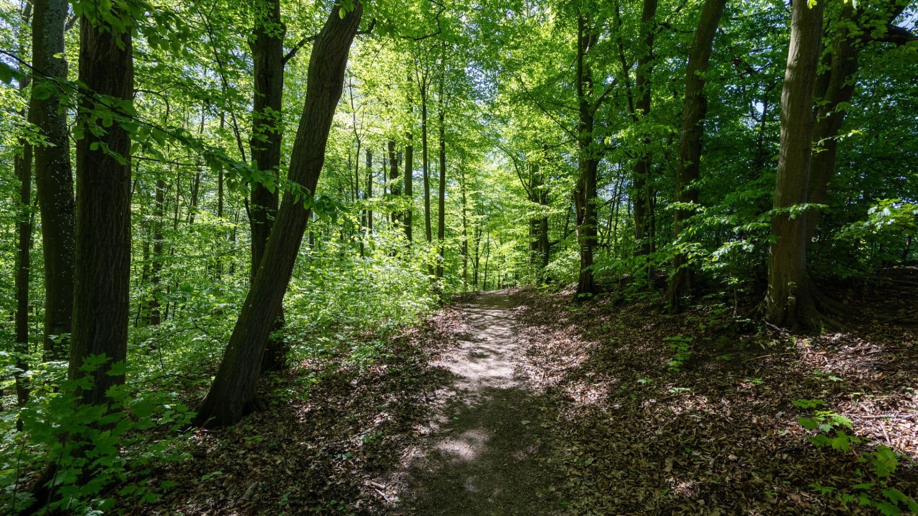 Prodej pozemku 3.101 m², Hostěnice, Jihomoravský kraj Prodej pozemku 3.101 m², Hostěnice, Jihomoravský kraj