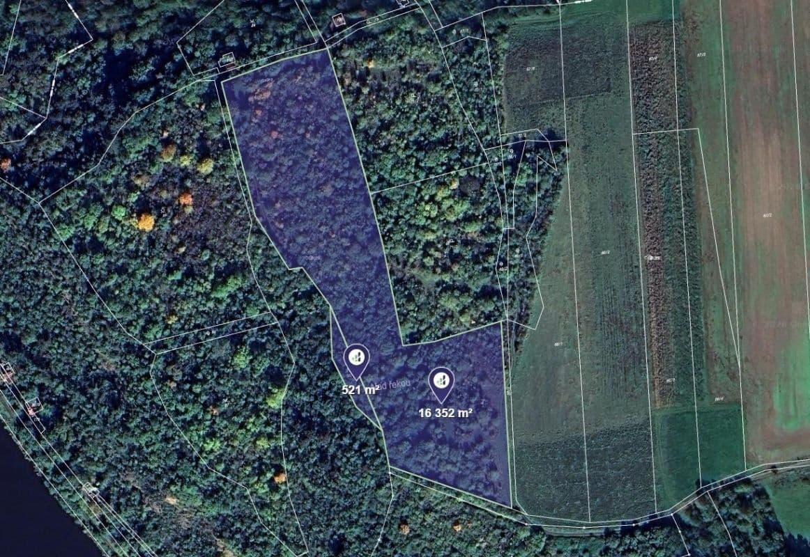 Prodej pozemku 7.030 m², Máslovice, Středočeský kraj Prodej pozemku 7.030 m², Máslovice, Středočeský kraj