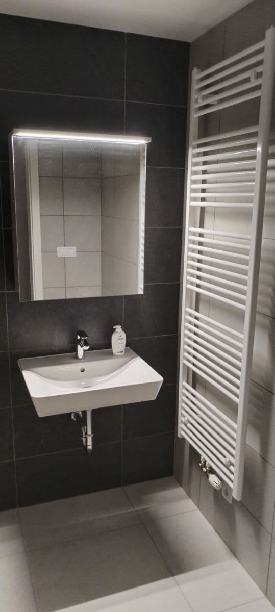 Pronájem bytu 2+kk 48 m², Spolková, Brno, Jihomoravský kraj Pronájem bytu 2+kk 48 m², Spolková, Brno, Jihomoravský kraj