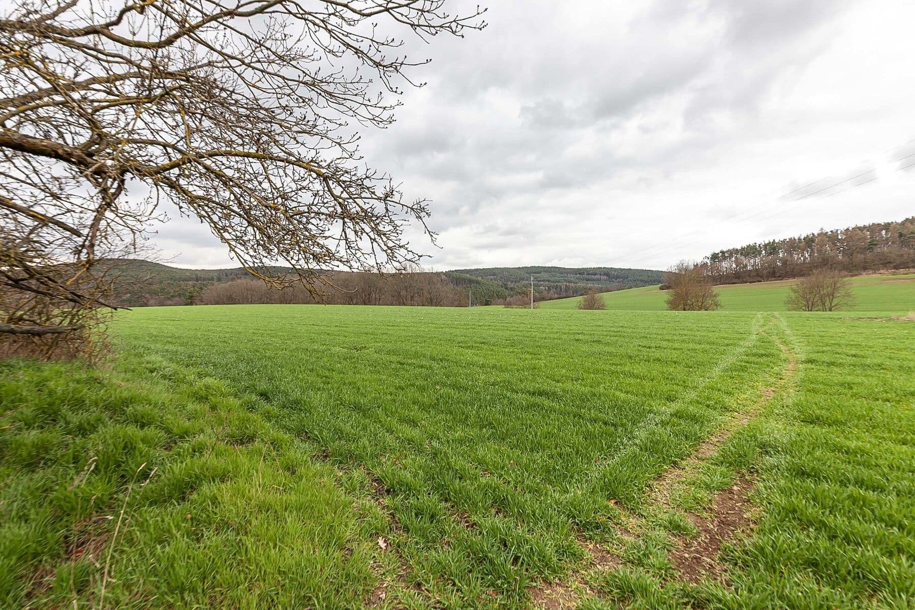 Prodej pozemku 34.543 m², Hřiměždice, Středočeský kraj Prodej pozemku 34.543 m², Hřiměždice, Středočeský kraj