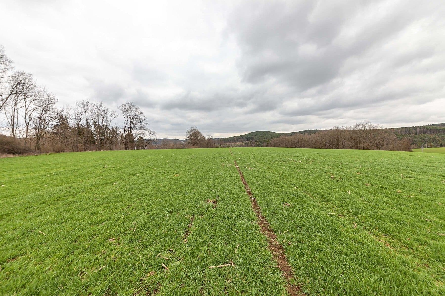 Prodej pozemku 34.543 m², Hřiměždice, Středočeský kraj Prodej pozemku 34.543 m², Hřiměždice, Středočeský kraj