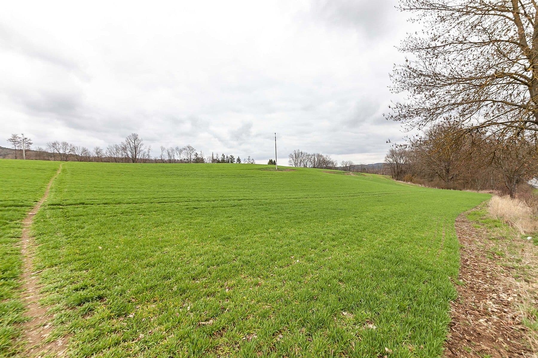 Prodej pozemku 34.543 m², Hřiměždice, Středočeský kraj Prodej pozemku 34.543 m², Hřiměždice, Středočeský kraj