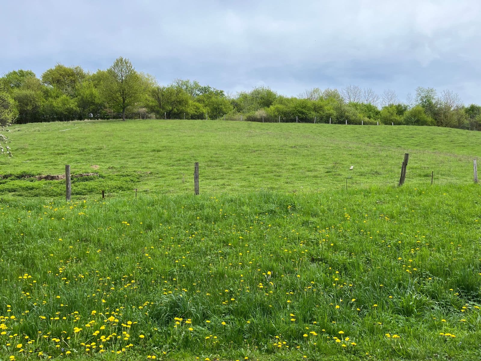 Prodej pozemku 2.010 m², V Drahách, Luhačovice, Zlínský kraj Prodej pozemku 2.010 m², V Drahách, Luhačovice, Zlínský kraj