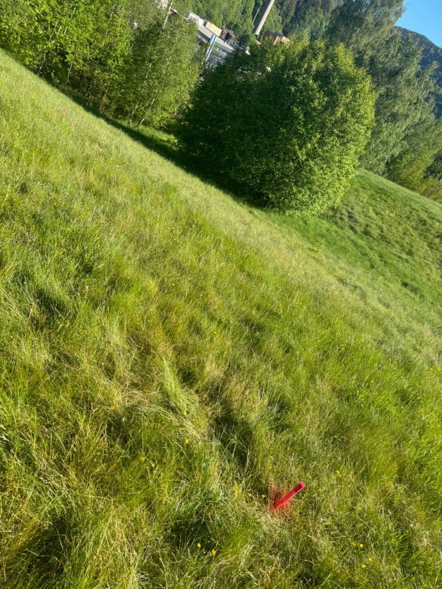 Prodej domu 140 m², pozemek 2.377 m², Pustinská, Desná, Liberecký kraj Prodej domu 140 m², pozemek 2.377 m², Pustinská, Desná, Liberecký kraj