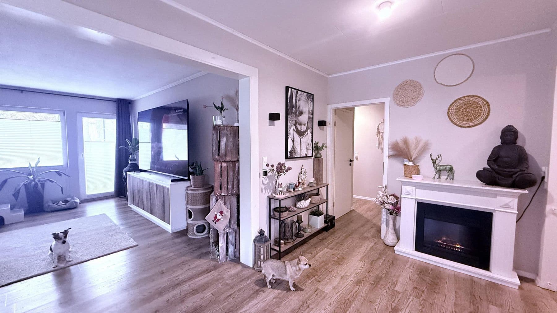 Prodej domu 130 m², pozemek 915 m², Schwerdtfegerstr. 18D, Salzgitter, Dolní Sasko Prodej domu 130 m², pozemek 915 m², Schwerdtfegerstr. 18D, Salzgitter, Dolní Sasko