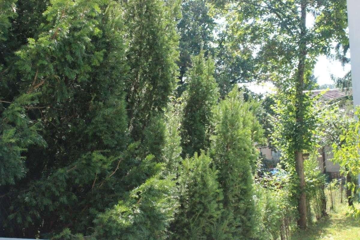 Prodej bytu 4+kk 110 m², Leitengasse, Wien, Wien Prodej bytu 4+kk 110 m², Leitengasse, Wien, Wien