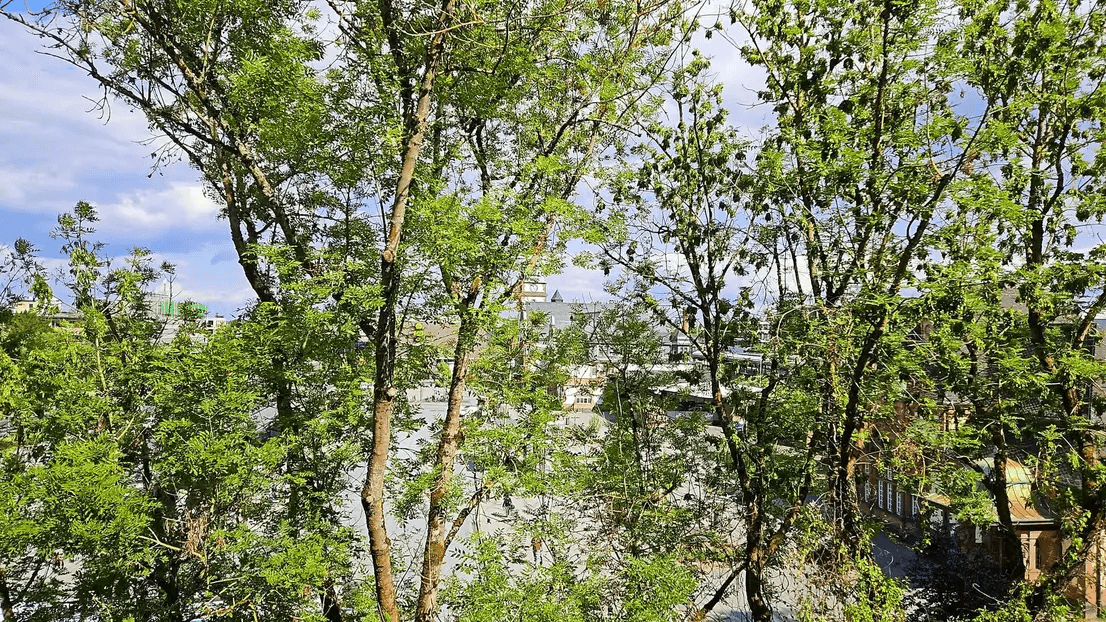 Pronájem bytu 2+kk 67 m², Frölingstraße 5c, Bad Homburg vor der Höhe, Hessen Pronájem bytu 2+kk 67 m², Frölingstraße 5c, Bad Homburg vor der Höhe, Hessen