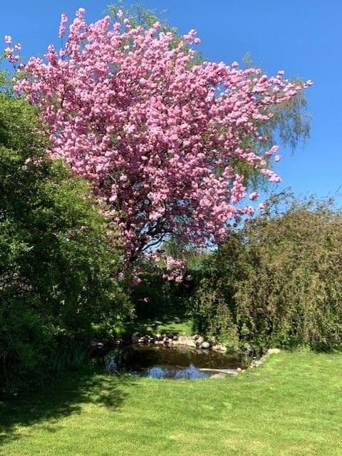 Prodej domu 186 m², pozemek 1.529 m², Ottendorf, Šlesvicko-Holštýnsko Prodej domu 186 m², pozemek 1.529 m², Ottendorf, Šlesvicko-Holštýnsko