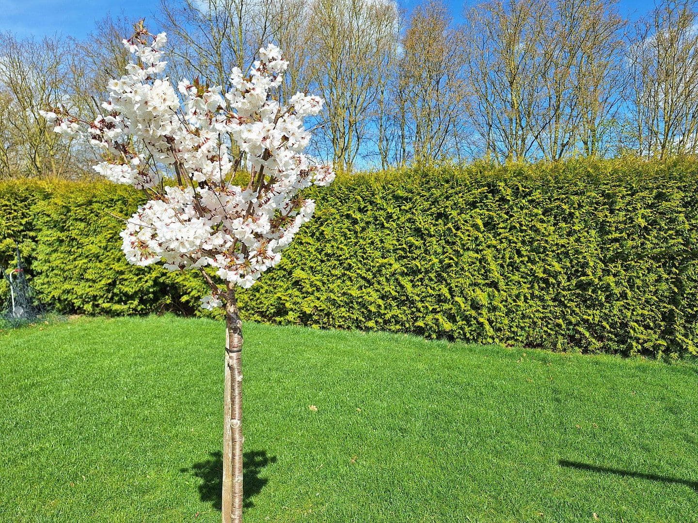 Prodej domu 284 m², pozemek 943 m², Dersum, Dolní Sasko Prodej domu 284 m², pozemek 943 m², Dersum, Dolní Sasko