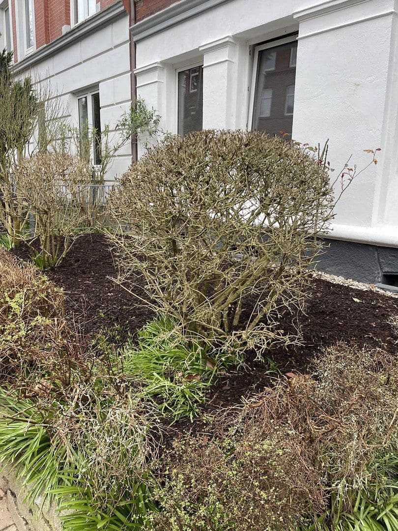 Pronájem bytu 4+1 95 m², Fockstrasse 26, Kiel, Šlesvicko-Holštýnsko Pronájem bytu 4+1 95 m², Fockstrasse 26, Kiel, Šlesvicko-Holštýnsko