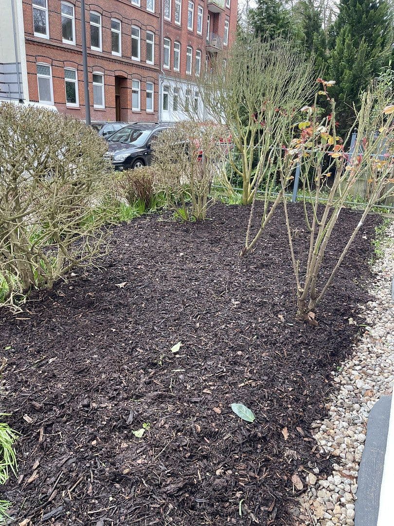 Pronájem bytu 4+1 95 m², Fockstrasse 26, Kiel, Šlesvicko-Holštýnsko Pronájem bytu 4+1 95 m², Fockstrasse 26, Kiel, Šlesvicko-Holštýnsko