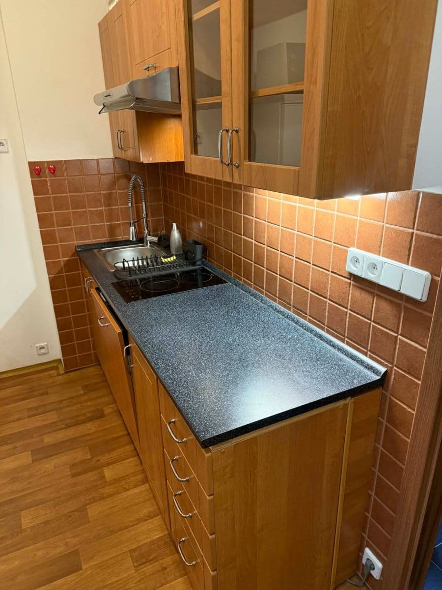 Pronájem bytu 2+1 55 m², U Skládky, Praha, Praha Pronájem bytu 2+1 55 m², U Skládky, Praha, Praha