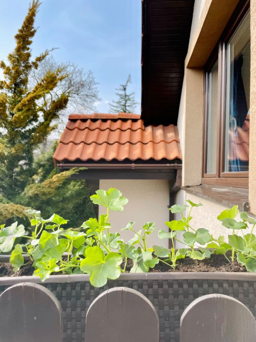 Pronájem domu 45 m², pozemek 15 m², Šulekova, Bratislava - mestská časť Staré Mesto, Bratislavský kraj Pronájem domu 45 m², pozemek 15 m², Šulekova, Bratislava - mestská časť Staré Mesto, Bratislavský kraj