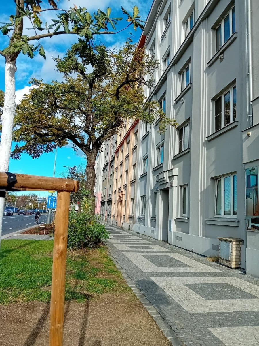 Pronájem bytu 2+kk 60 m², Argentinská, Praha, Praha Pronájem bytu 2+kk 60 m², Argentinská, Praha, Praha