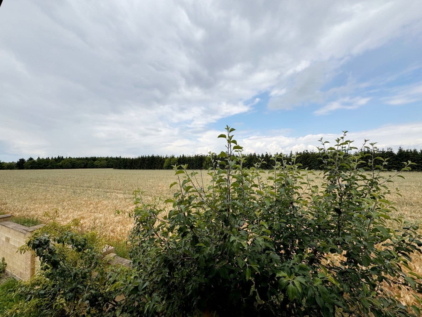 Pronájem bytu 3+1 119 m², Žitná, Šestajovice, Středočeský kraj Pronájem bytu 3+1 119 m², Žitná, Šestajovice, Středočeský kraj