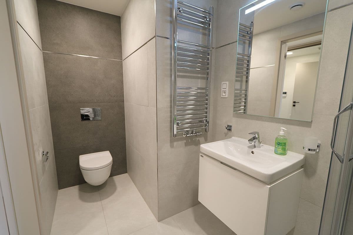 Pronájem bytu 1+kk 43 m², Šrámkové, Praha, Praha Pronájem bytu 1+kk 43 m², Šrámkové, Praha, Praha