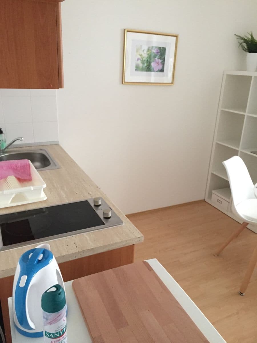 Pronájem bytu 1+kk 22 m², Cejl, Brno, Jihomoravský kraj Pronájem bytu 1+kk 22 m², Cejl, Brno, Jihomoravský kraj