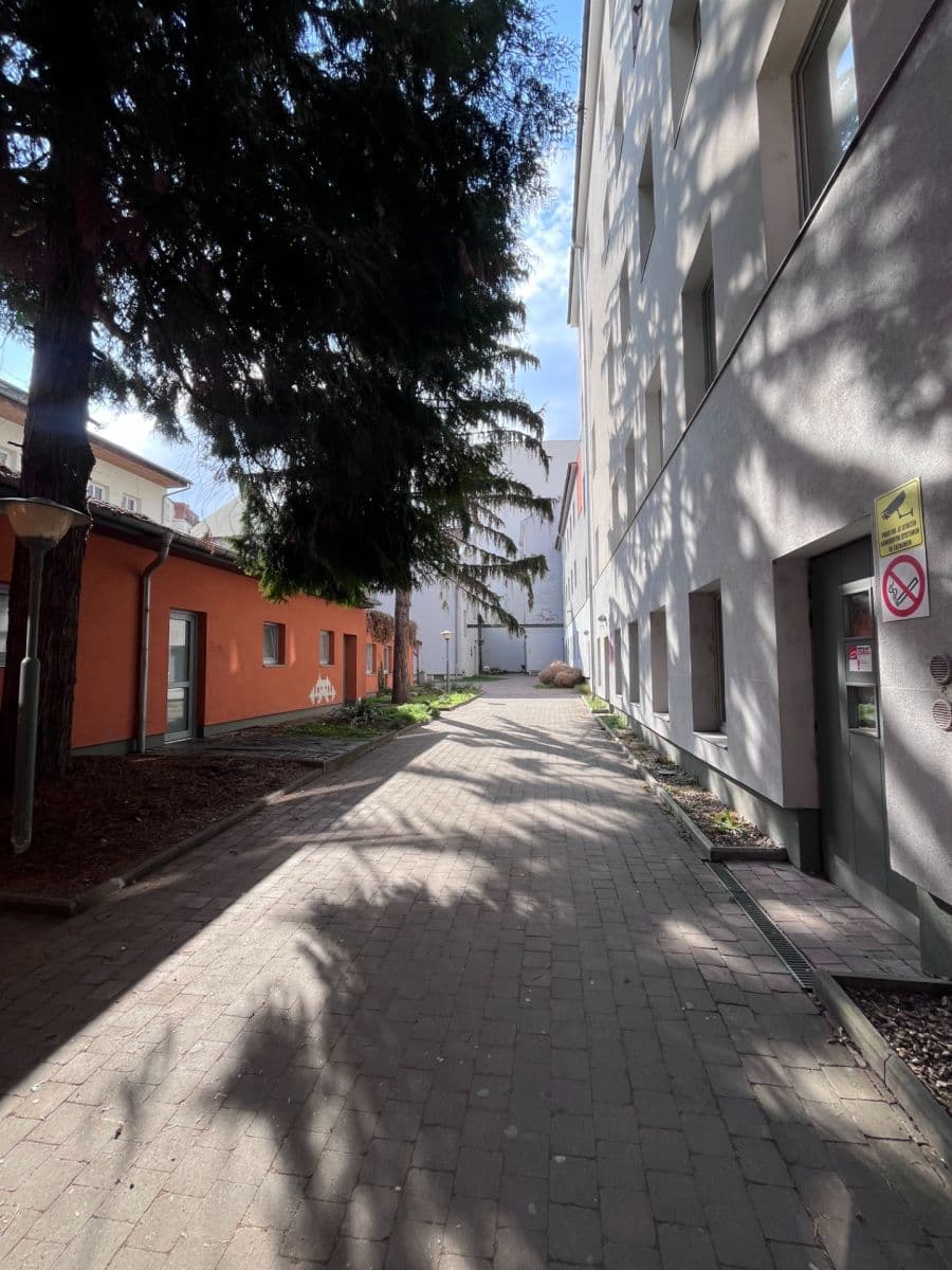 Pronájem bytu 1+kk 22 m², Cejl, Brno, Jihomoravský kraj Pronájem bytu 1+kk 22 m², Cejl, Brno, Jihomoravský kraj