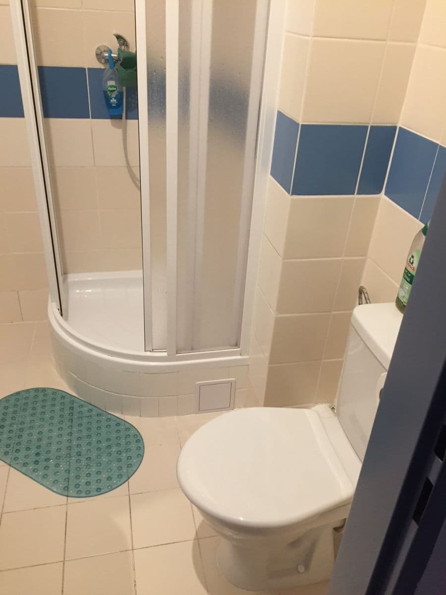 Pronájem bytu 1+kk 22 m², Cejl, Brno, Jihomoravský kraj Pronájem bytu 1+kk 22 m², Cejl, Brno, Jihomoravský kraj