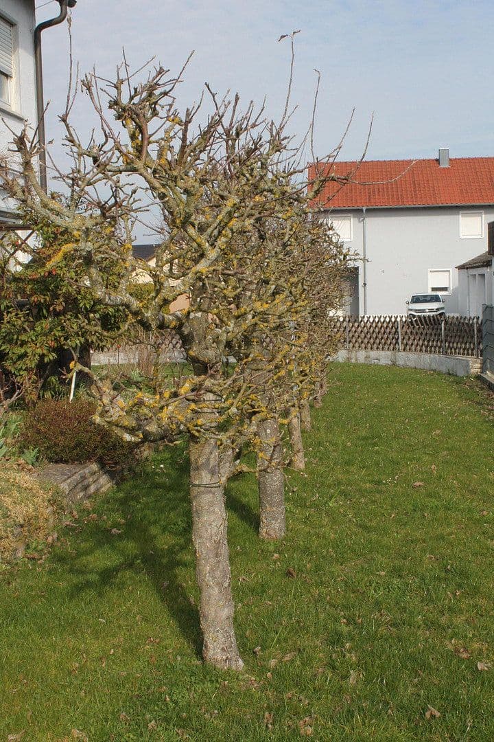 Prodej domu 223 m², pozemek 757 m², Wilburgstetten, Bavorsko Prodej domu 223 m², pozemek 757 m², Wilburgstetten, Bavorsko