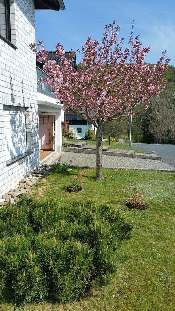 Prodej domu 283 m², pozemek 875 m², Mengerskirchen, Hessen Prodej domu 283 m², pozemek 875 m², Mengerskirchen, Hessen