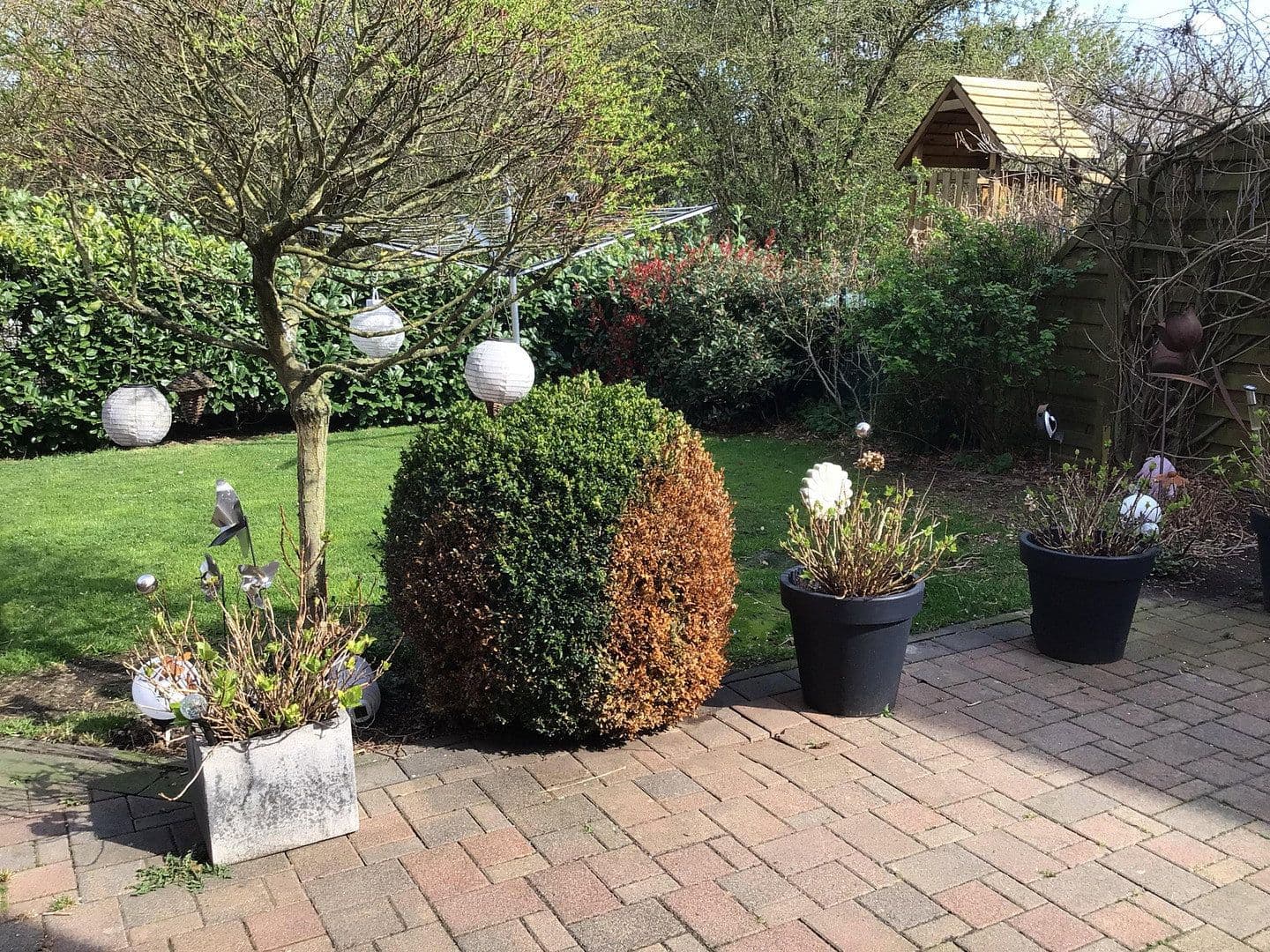 Prodej domu 126 m², pozemek 384 m², Im Ginsterfeld 19, Mechernich, Severní Porýní-Vestfálsko Prodej domu 126 m², pozemek 384 m², Im Ginsterfeld 19, Mechernich, Severní Porýní-Vestfálsko