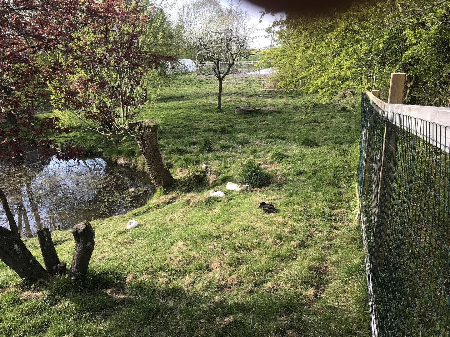 Prodej domu 460 m², pozemek 43.000 m², Wangels, Šlesvicko-Holštýnsko Prodej domu 460 m², pozemek 43.000 m², Wangels, Šlesvicko-Holštýnsko