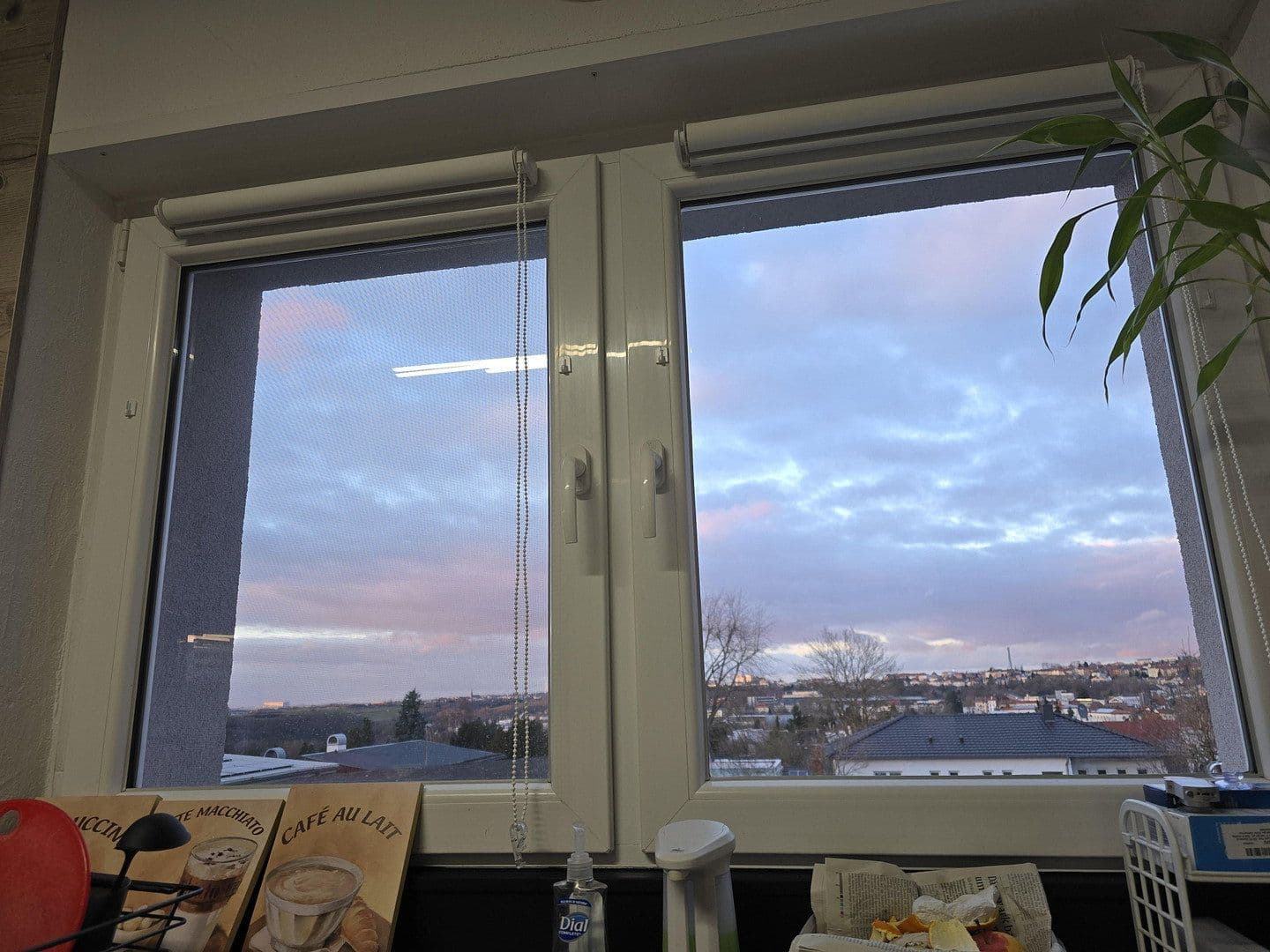 Prodej domu 300 m², pozemek 1.770 m², Pirmasens, Porýní-Falc Prodej domu 300 m², pozemek 1.770 m², Pirmasens, Porýní-Falc