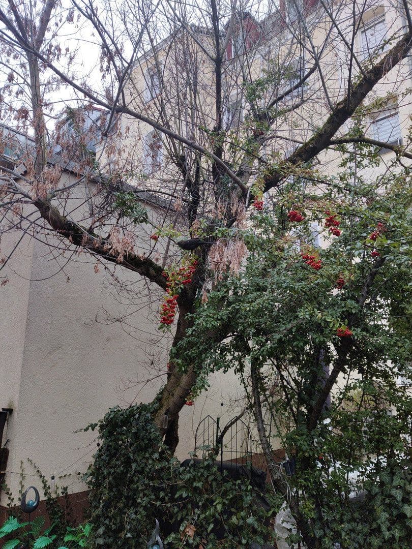 Prodej bytu 2+1 60 m², Fürth, Bavorsko Prodej bytu 2+1 60 m², Fürth, Bavorsko