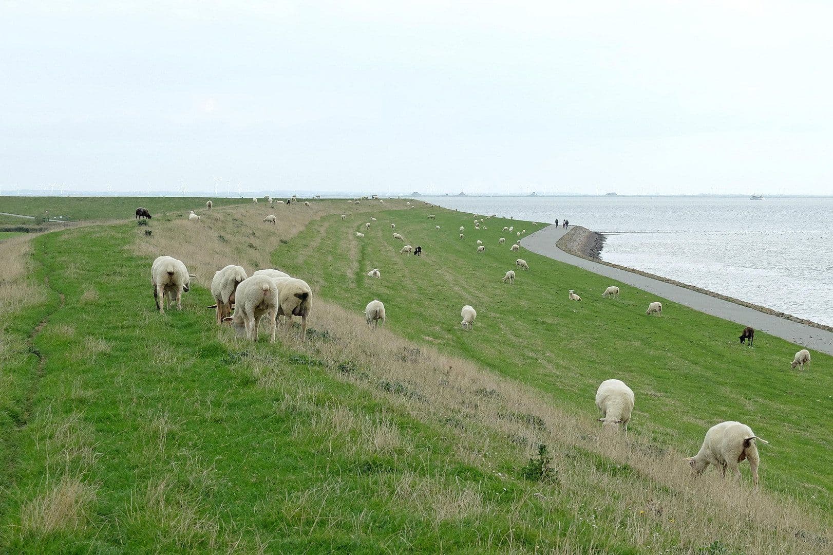Prodej domu 130 m², pozemek 1.100 m², Pellworm, Šlesvicko-Holštýnsko Prodej domu 130 m², pozemek 1.100 m², Pellworm, Šlesvicko-Holštýnsko